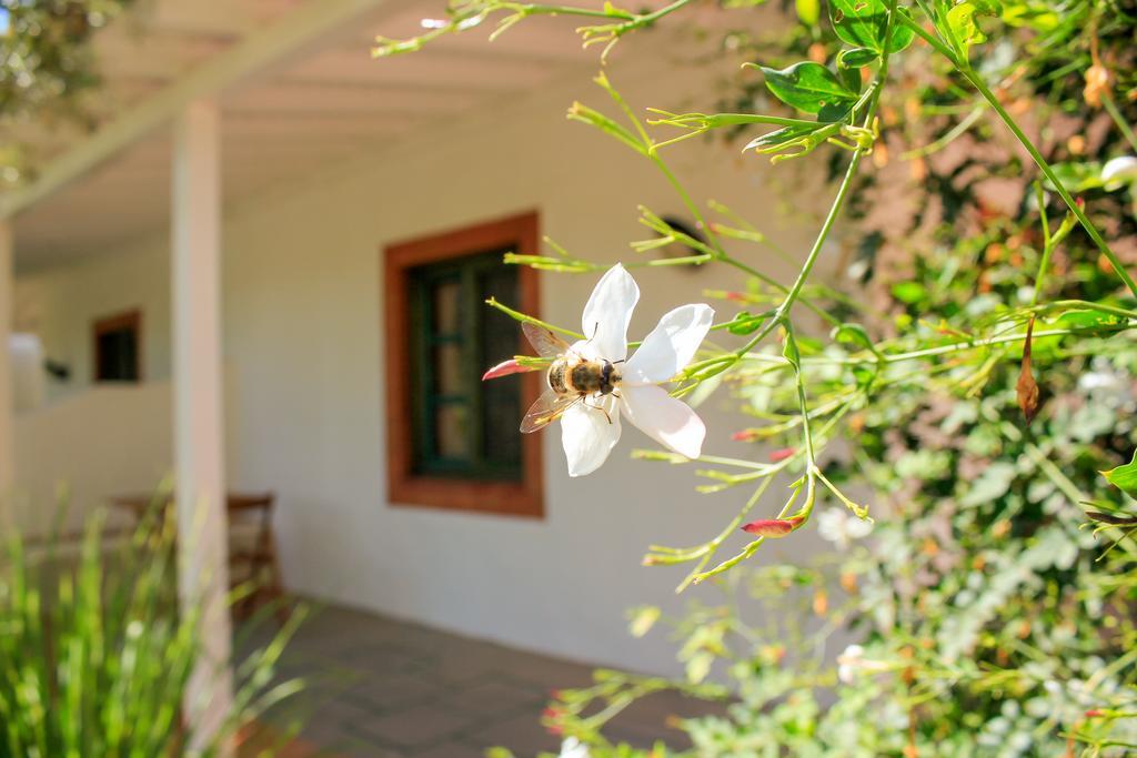 Hotel Fazendinha - Tavira - Spacious And Tranquil Exterior foto